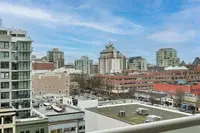 View 15