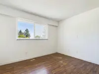 View 24