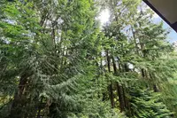 View 24