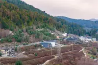 View 25