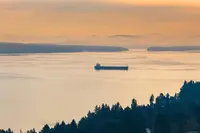 View 21