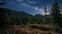 View 49