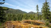 View 48