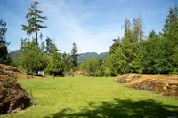 View 31