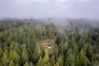 View 81