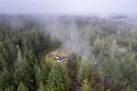 View 83