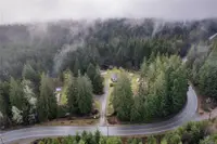 View 87