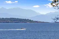 View 35