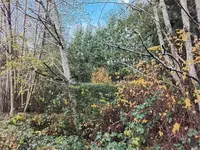 View 6