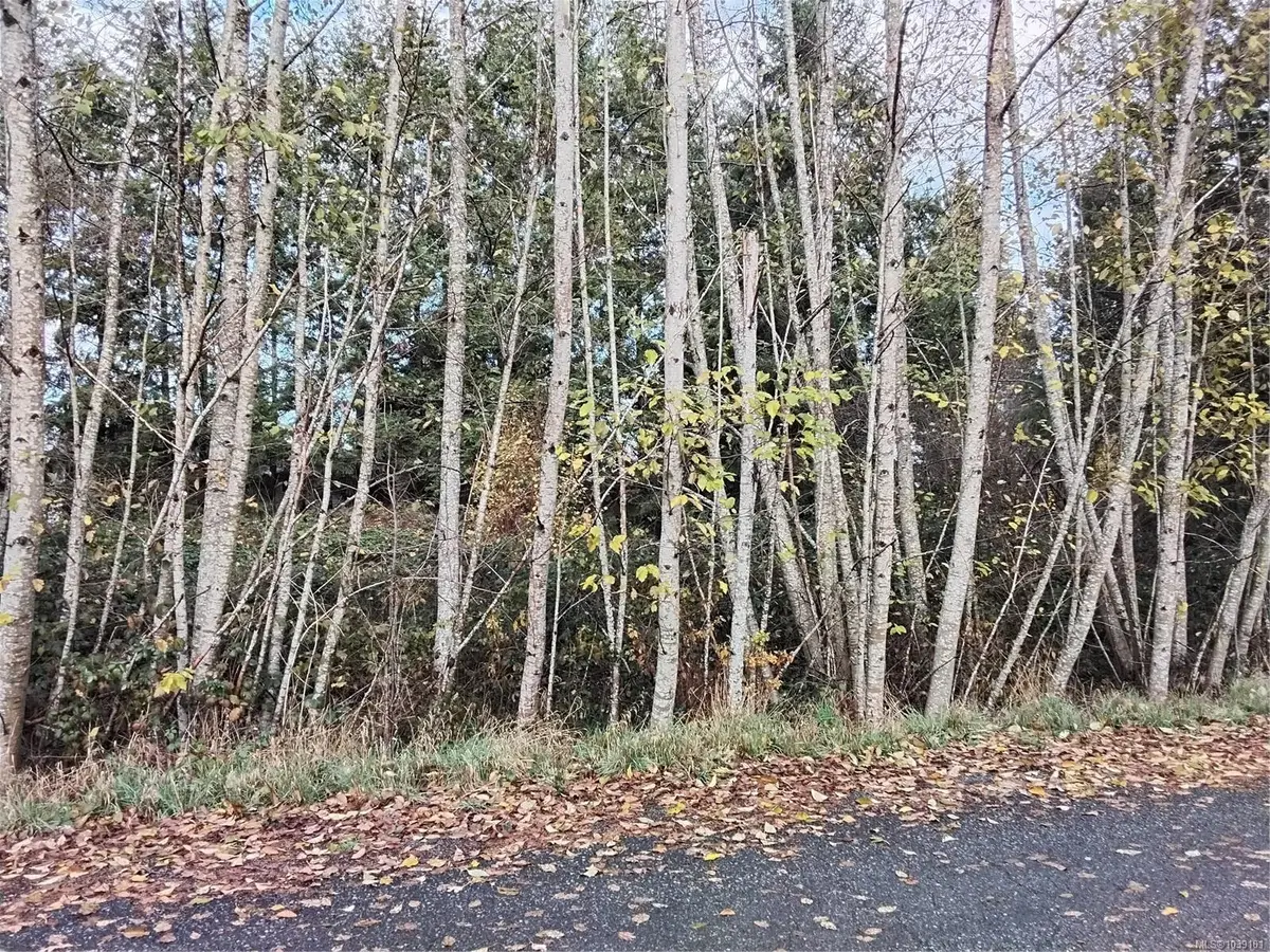Lot E Tatton Rd, Courtenay BC V9N 7E4