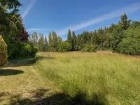 View 66