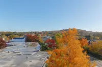 View 25