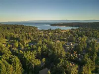 View 50