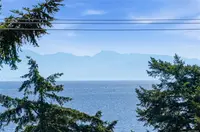 View 44