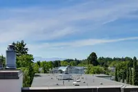 View 50