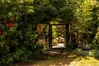 View 44