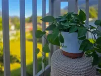 View 70