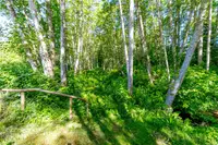 View 61