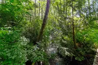 View 68