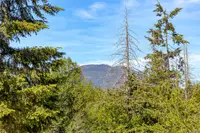 View 78