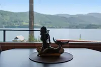 View 15
