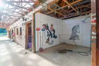 View 51