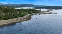View 52