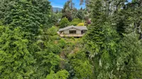 View 63