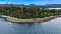 View 51