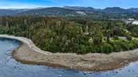 View 50