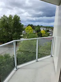 View 12