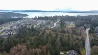 View 45