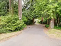 View 39