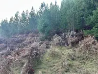 View 2