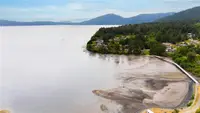 View 44