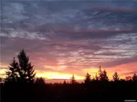 View 31
