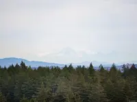 View 29