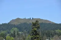 View 30