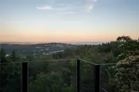 View 65