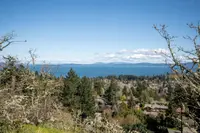 View 46