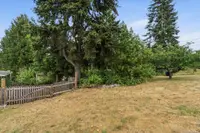 View 50