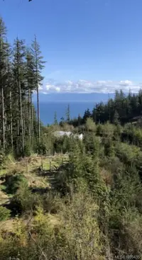 View 6