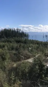 View 8