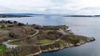 View 67