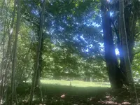 View 23