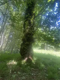 View 26