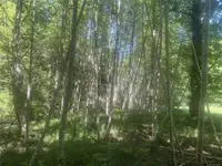 View 24