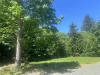 View 11
