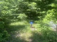 View 19