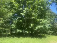 View 29